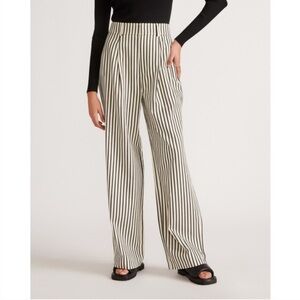 Everlane Way High Drape Pants Ombré Stripe